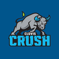 Clovis Crush bull
