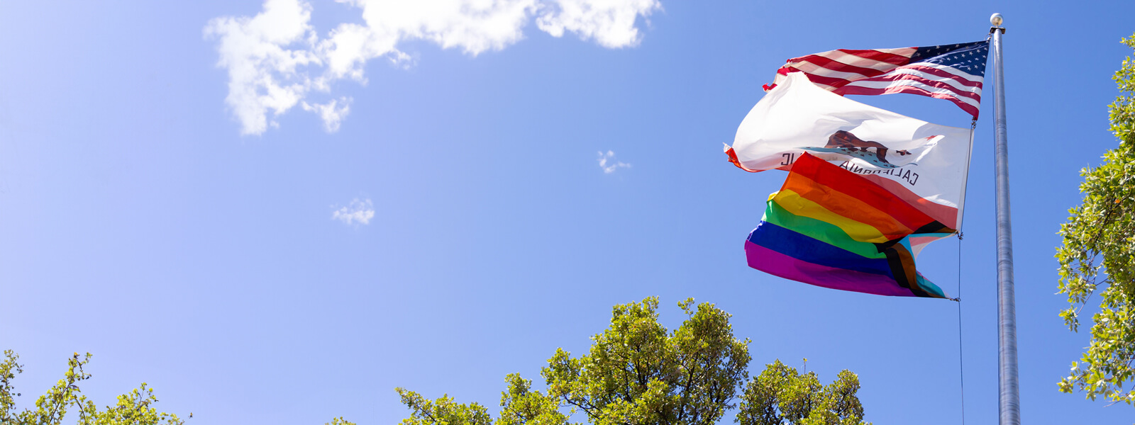 Pride flag on campus