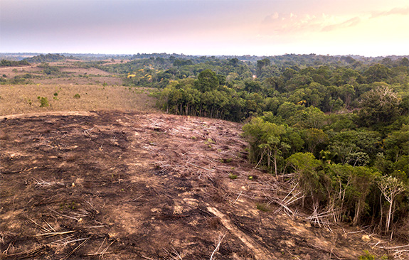 Drone image of Deforestation