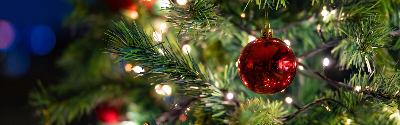 Christmas tree with bokeh effect