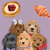 Puppies and Pastries