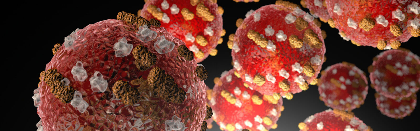 Rendering of the measles virus