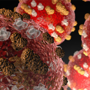 Rendering of the measles virus